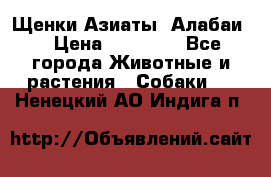 Щенки Азиаты (Алабаи) › Цена ­ 20 000 - Все города Животные и растения » Собаки   . Ненецкий АО,Индига п.